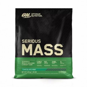 Optimum Nutrition Serious Mass Gainer Chocolate Mint 5.45 kg (16 Servings) | PK4653281