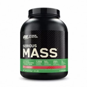 Optimum Nutrition Serious Mass Gainer Strawberry 2.73 kg (8 Servings) | NS2104879